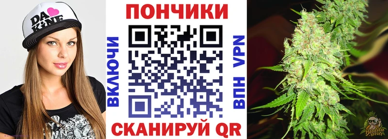 Бошки Шишки семена  Купить  Чадан 